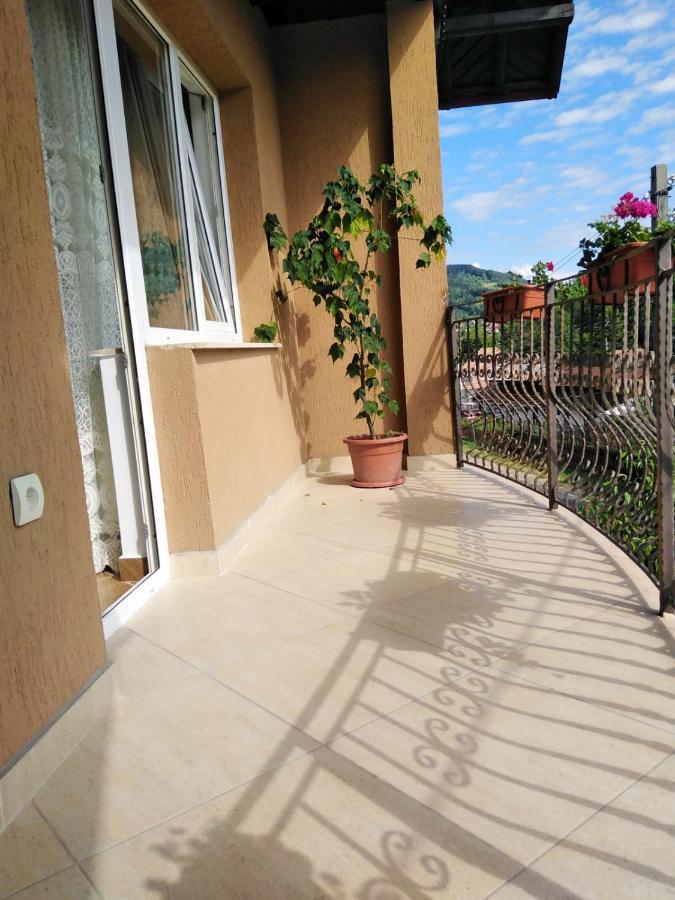 Casa Diana-Maria Curtea de Argeş Exterior foto