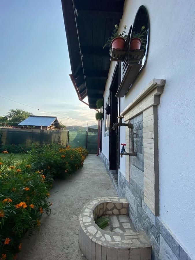 Casa Diana-Maria Curtea de Argeş Exterior foto