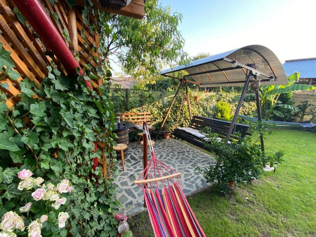 Casa Diana-Maria Curtea de Argeş Exterior foto