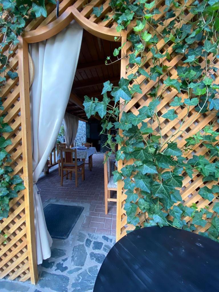 Casa Diana-Maria Curtea de Argeş Exterior foto