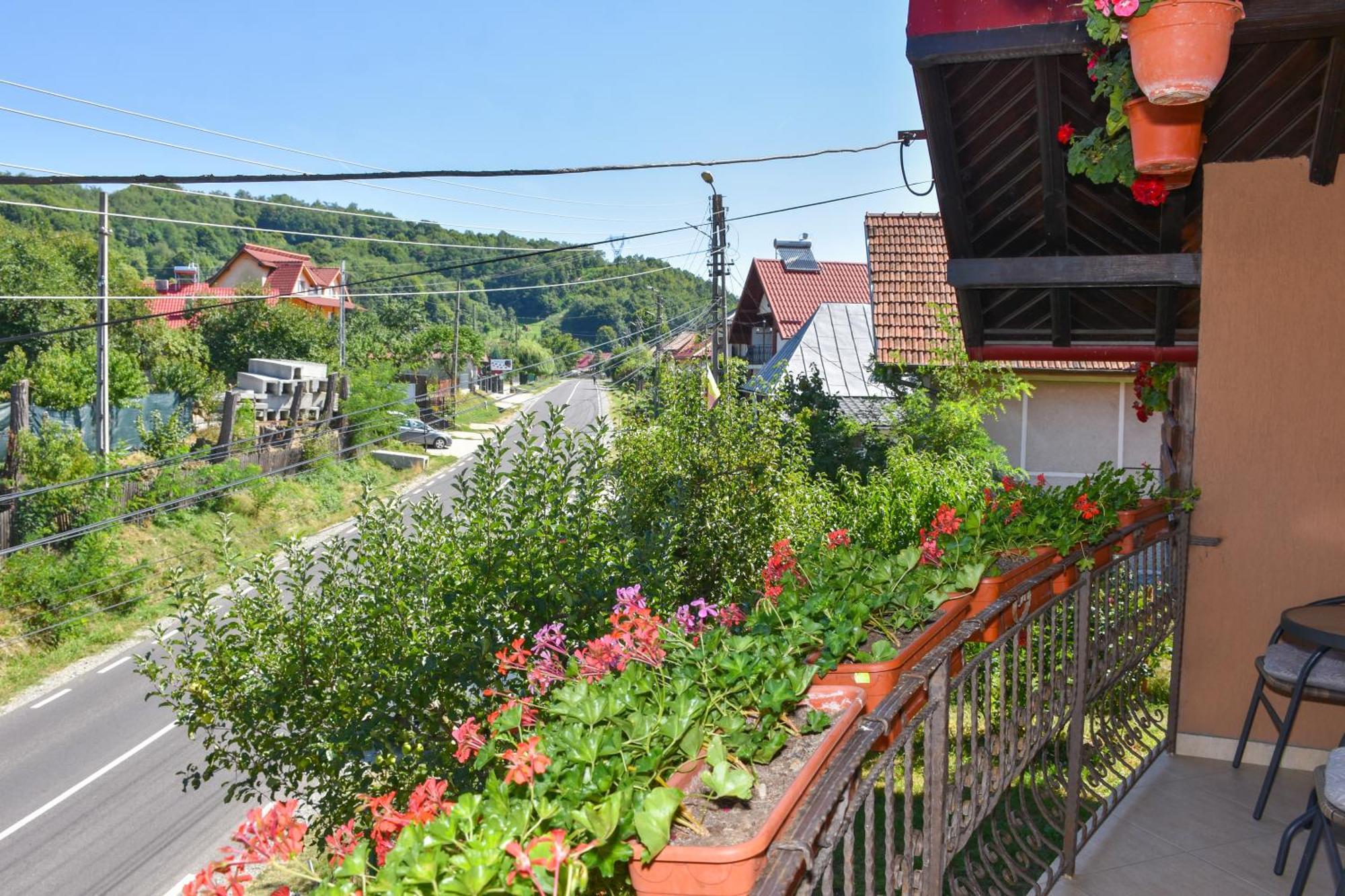 Casa Diana-Maria Curtea de Argeş Exterior foto
